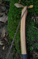 Geleimter Reflex