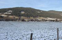 so siehts heuer bei uns aus, wir sind so schneearm!