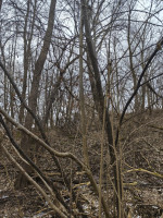 Kandidat nr2 (zur Sicherheit)