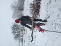 20260103_155440 (Copy).jpg (310.29 KiB) 2180 mal betrachtet einspannen und Bogenrücken suchen