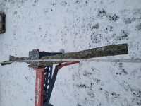 20260103_155844 (Copy).jpg (262.39 KiB) 2180 mal betrachtet Bogenrücken gefunden, Länge um die 180cm