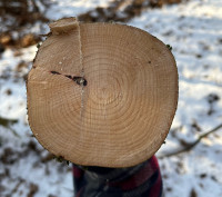 Gerade erst volljährig geworden der Gute :')
