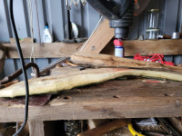 20260105_141826 (Copy).jpg (255.83 KiB) 1331 mal betrachtet Reflex vorher