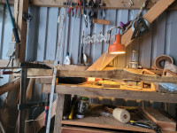 20260106_091526 (Copy).jpg (278.67 KiB) 1328 mal betrachtet und nachher