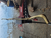 20260106_102749 (Copy).jpg