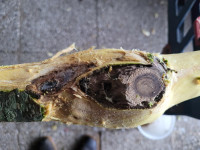 20260107_151846 (Copy).jpg