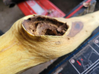 20260108_110229.jpg (2.96 MiB) 927 mal betrachtet Grat