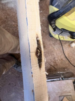 Gammelstelle, wird wahrscheinlich komplett wegfallen