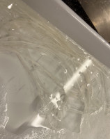 Sehnen beim Baden im Wasser mit einem Schuss Spüli