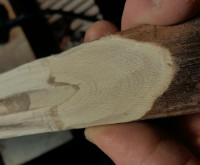 Die Spaltfüllenden Eigenschaft von Epoxy ausgenutzt... mal sehn ob und wie ich das noch verstecke. Denk halten wirds. Schönes Holz ist es auf jeden Fall