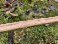 Finish scheint seinen Job zu tun