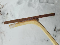 20260213_142919 (Copy).jpg