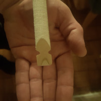 Holler-Hartriegel abgeschliffen