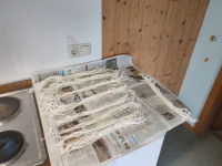 IMG_20260414_190534.jpg