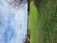 20260405_172440.jpg
