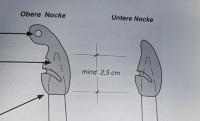 20260509_114034.jpg