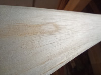 Bauchoberfläche02.jpg