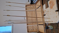 20260520_194929.jpg