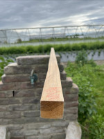 IMG_3402.jpeg