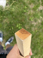 IMG_3413.jpeg