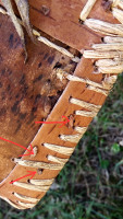 20260711_101558_HDR.jpg
