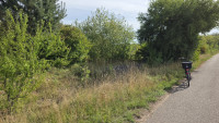 20260827_095952.jpg