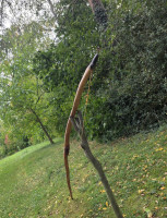 20260920_105553.jpg