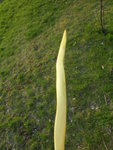 spazierenosternPNBogenBurgund 080.jpg