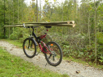 holz.jpg