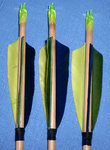 CIMG0417.jpg