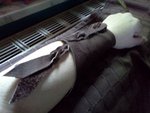 IMG20110817_002.jpg