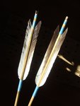 DSC03423.jpg