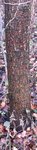 Baum 3, 16cm