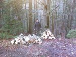vorne ein wenig brennholz,rechts die restlichen stücke