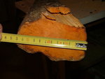 weissdorn2.jpg (234.6 KiB) 5504 mal betrachtet wie abgemessen 12cm, und der ovale Querschnitt ist perfekt für das was ich mit dem Ding vorhabe