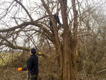 20111219868.jpg