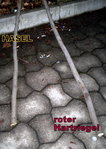 Hasel + Riegel.jpg