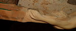 na wo is sie denn versteckt im Holz, die Hand