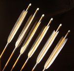 Schäfte: Easton 73-13 Carbon,  Federn: Truthahn, Wicklung: Pro-Wrap Bindegarn D in grau und goldbraun...