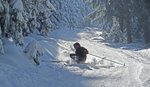 120205_Harz_liojo_0081.jpg