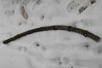 DSCF5003web.jpg