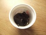Leder in Wasser einweichen