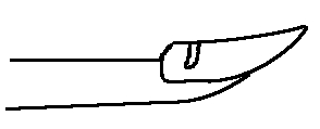 Nagel.jpg