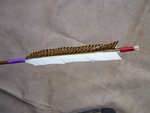 &quot;Japanisch angehauchte&quot; Befiederung, Gans und Goldfasan