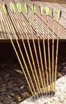 IMAG0677_cr.jpg