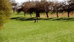 DSC04113.JPG