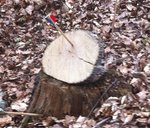 Fast genau in die Mitte