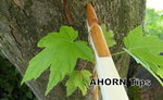Ahorn Tips.jpg