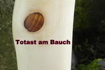 Tast am Bauch.jpg