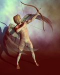 Cupido grown up